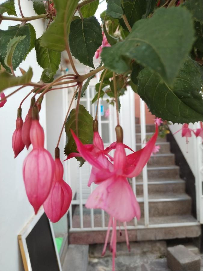 Cusco Vista Guest House Dış mekan fotoğraf